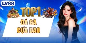 Đá Gà Cựa Dao - Thông Tin Từ LV88 Về Hình Thức Thi Đấu