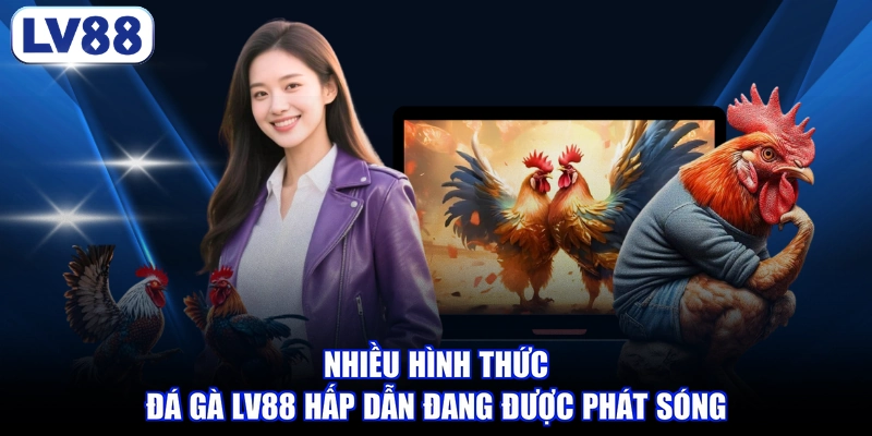 Nhiều hình thức đá gà LV88 hấp dẫn đang được phát sóng