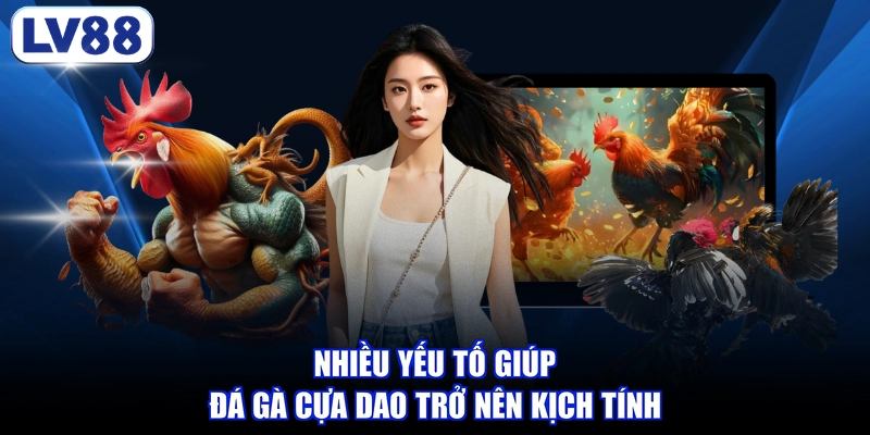 Nhiều yếu tố giúp đá gà cựa dao trở nên kịch tính